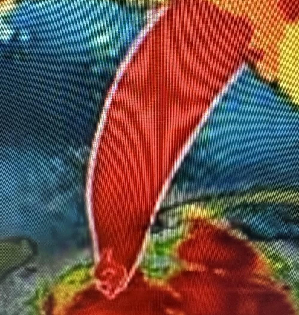 Hurricane on radar. #idalia